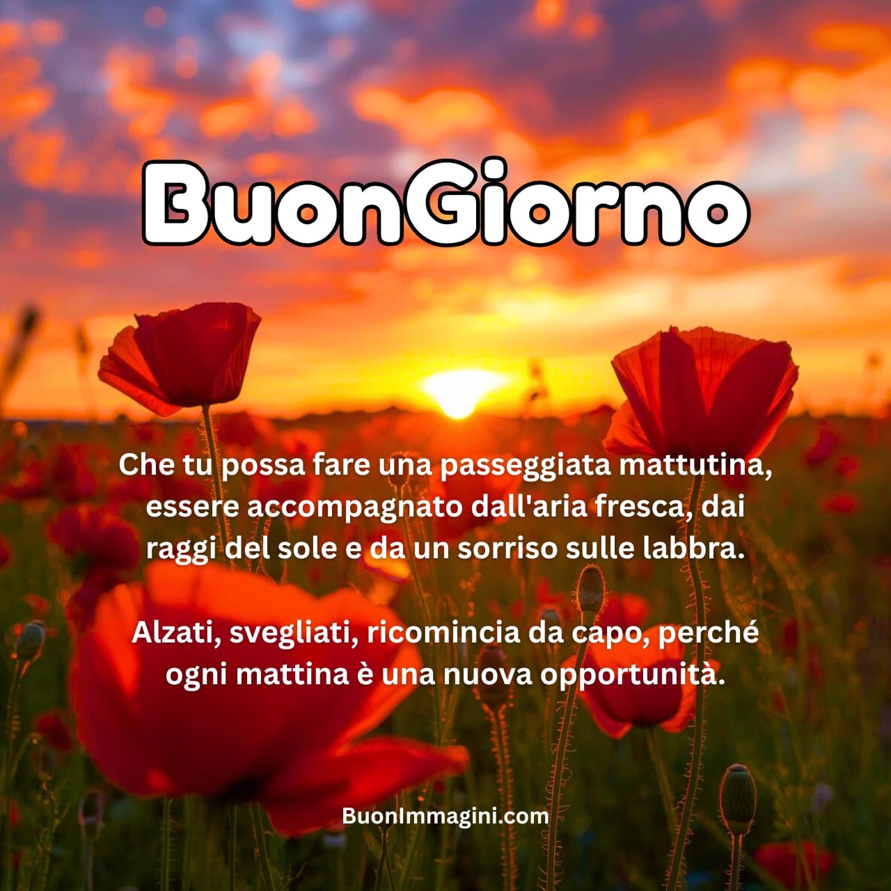 Buongiorno Toghigi Paper Immagini Tutto il Giorno