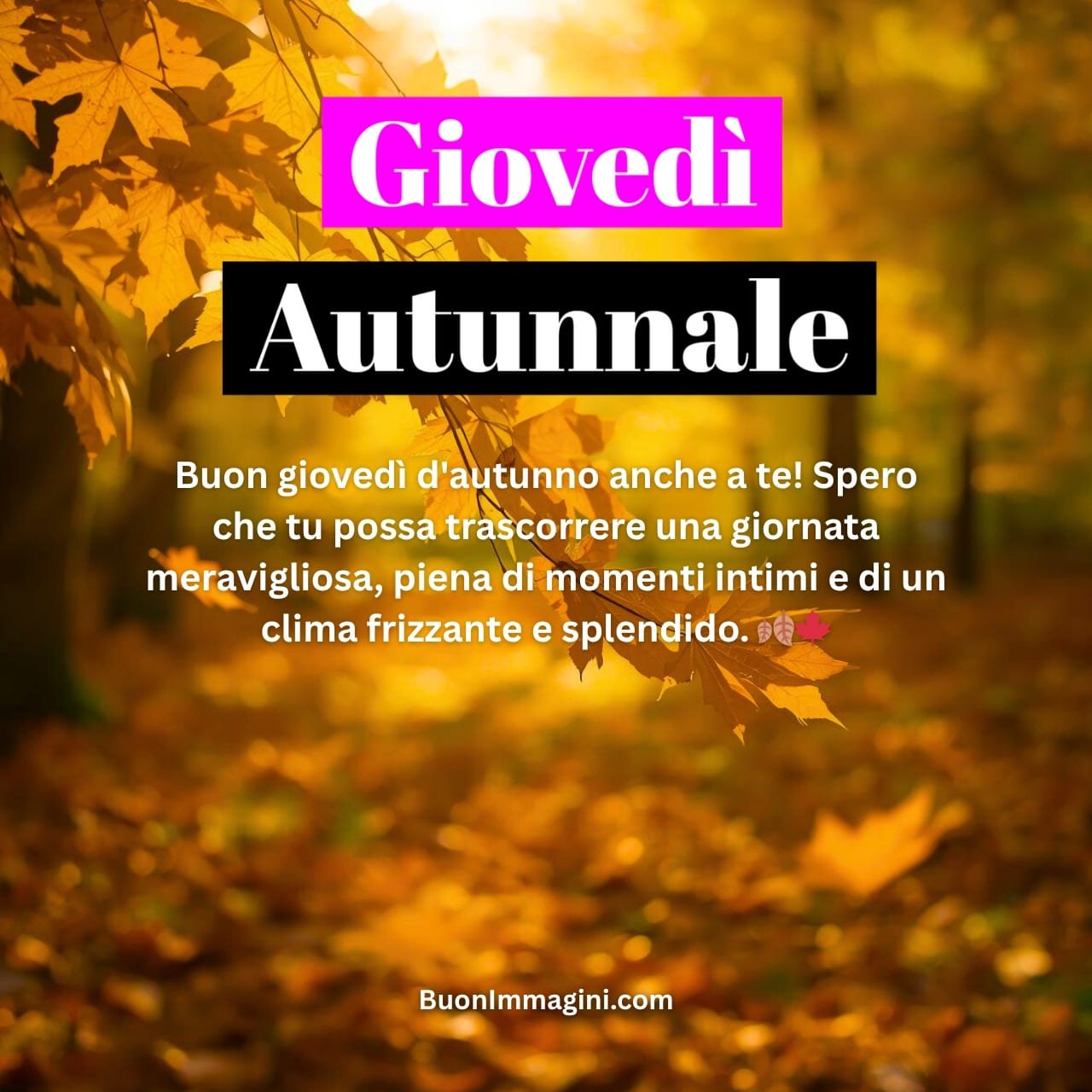 Buon Giovedì Autunnale​ Immagini Nouve Gratis 2025