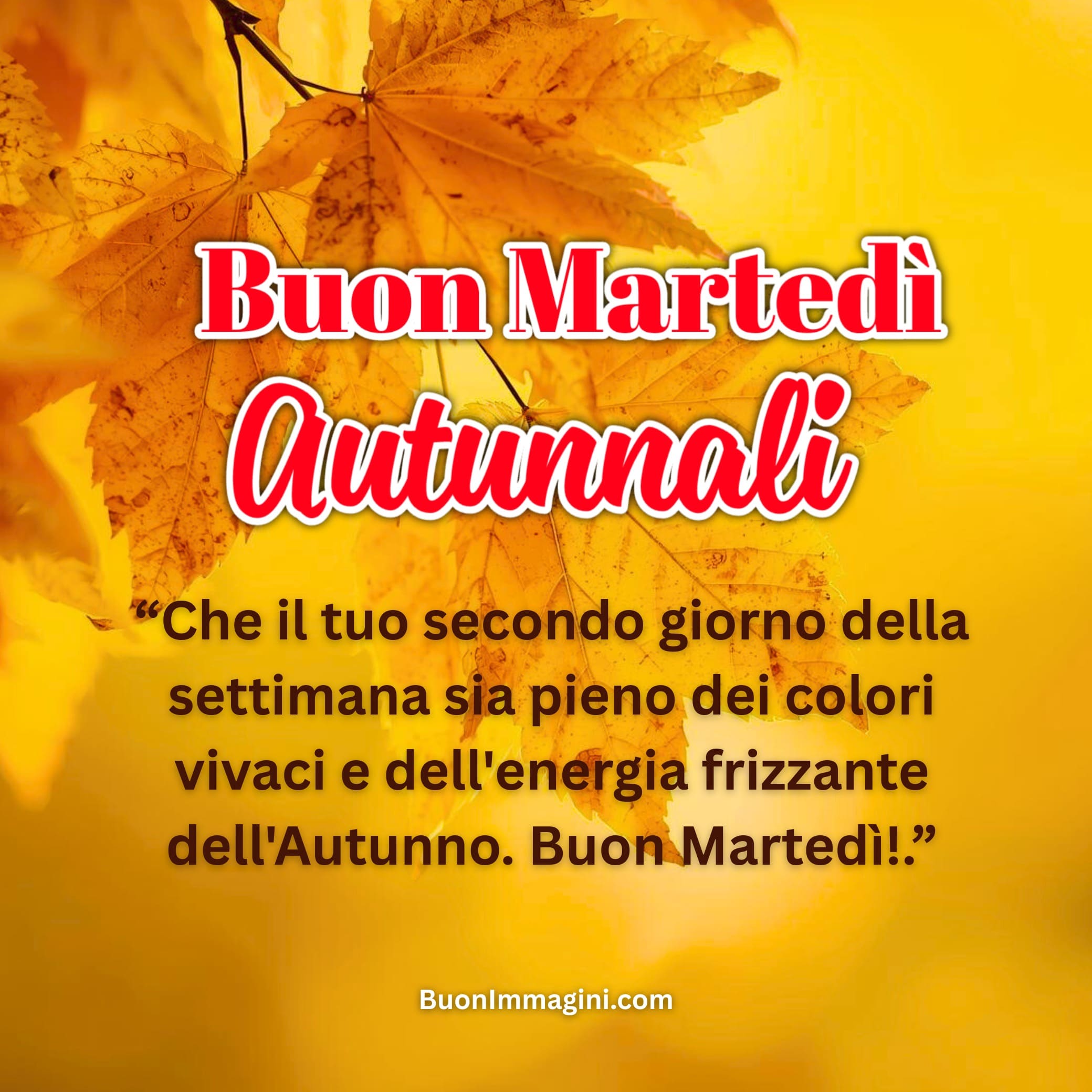 Buon Martedì Autunnale​ Immagini, GIF, Foto Nuove Gratis 2025