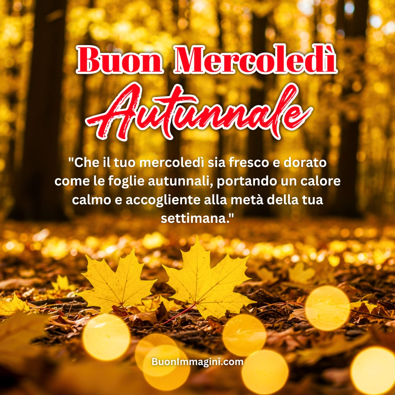 Buon Mercoledì Autunnale Immagini Nuove Gratis 2025