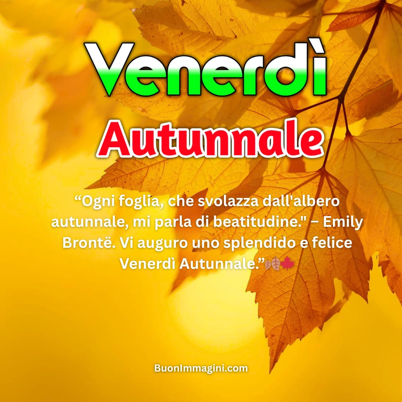 Buon Venerdì Autunnale​ Immagini, GIF, Foto Nuove Gratis 2025