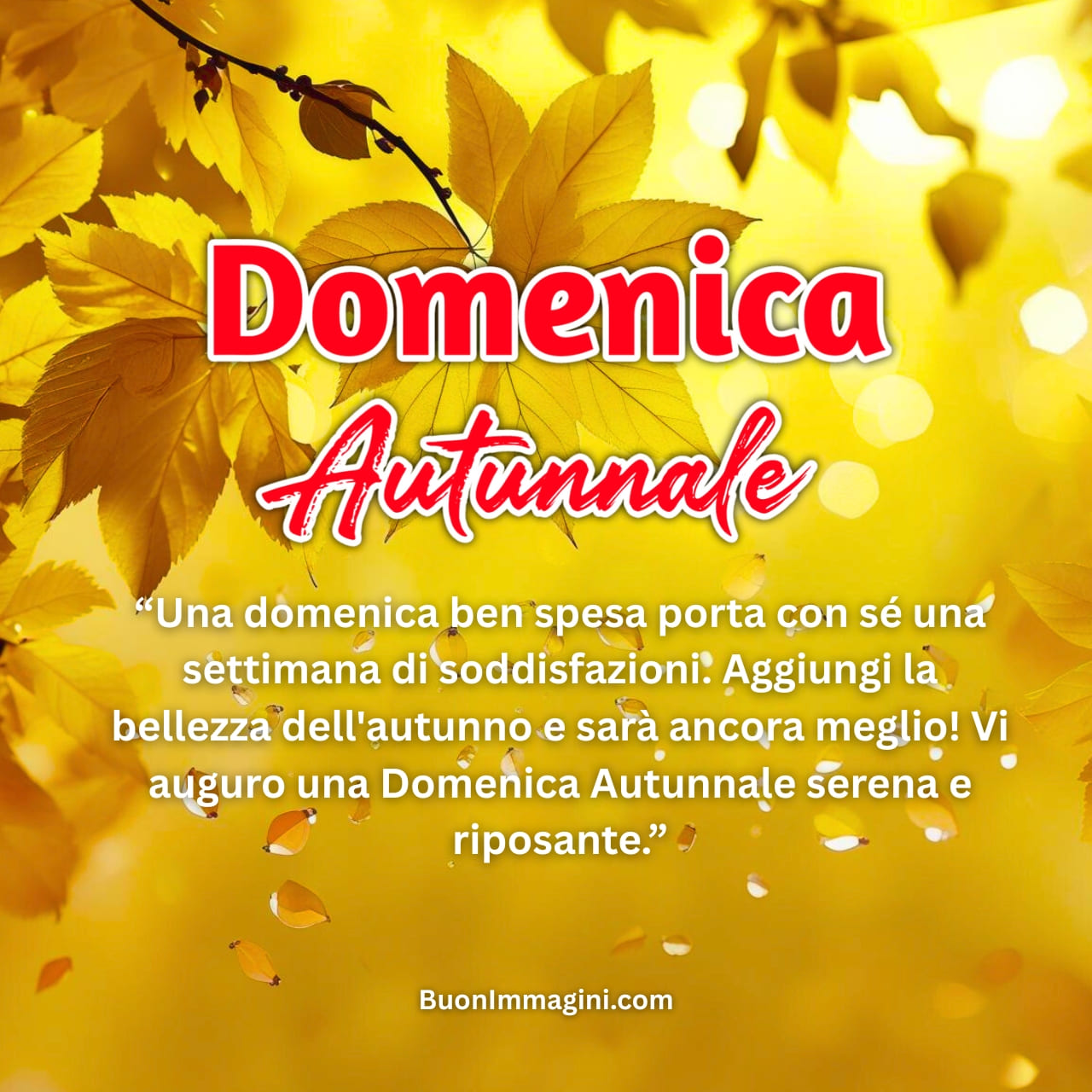 Buona Domenica Autunnale Immagini, GIF, Fotos Nuove Gratis 2025