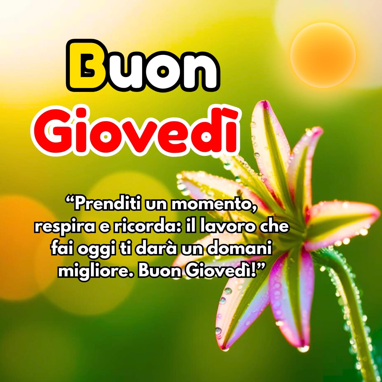 Buon Giovedì Immagini, GIF, Frasi Nuove Gratis 2025