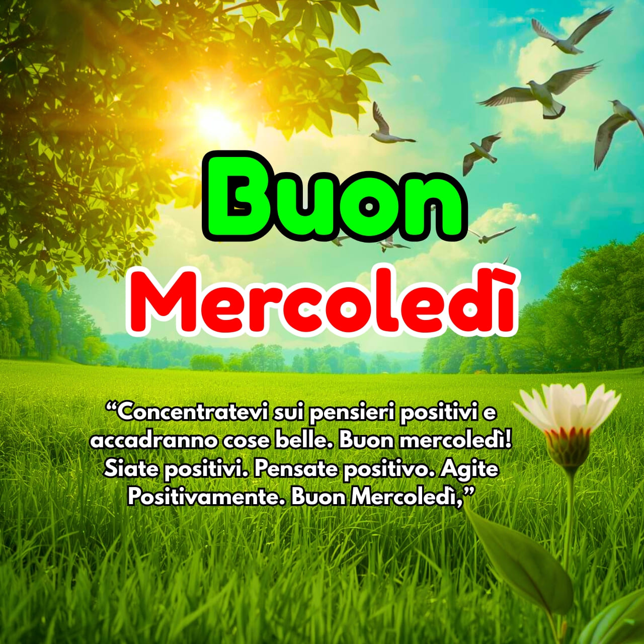 Buon Mercoledì Immagini GIF, Frasi Nuove Gratis 2025