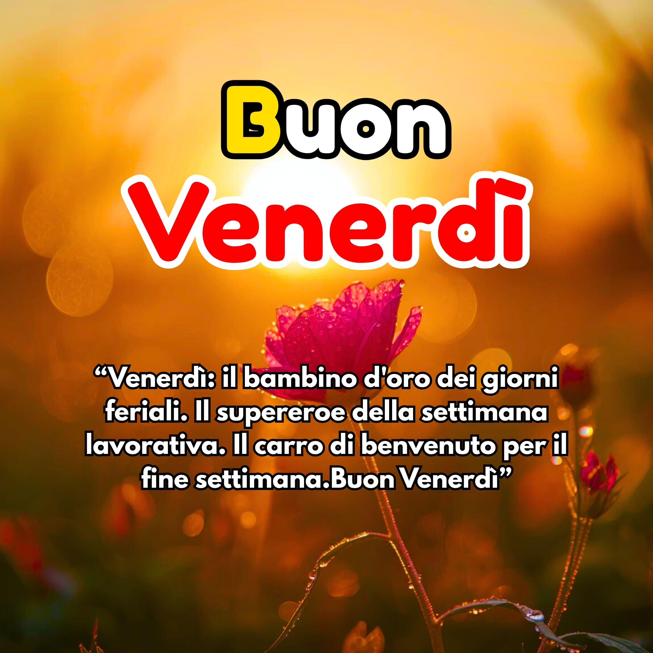 Buon Venerdì Immagini, GIF, Frasi Nuove Gratis 2025