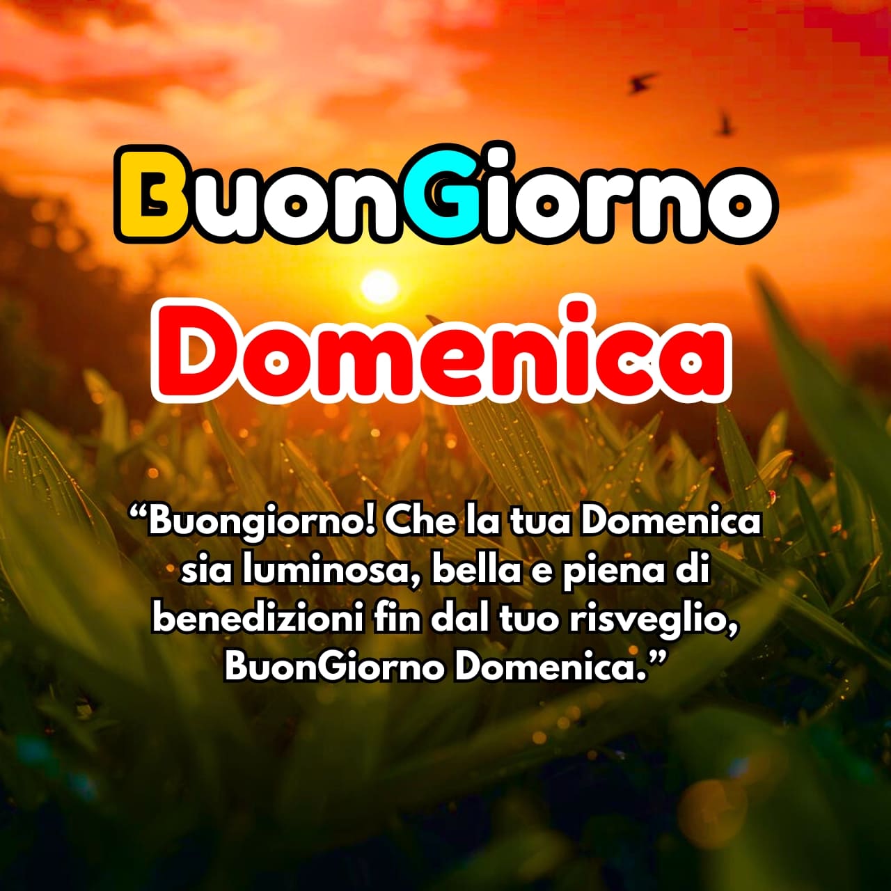 Buongiorno Domenica Immagini, GIF, Frasi Nuove Gratis 2025