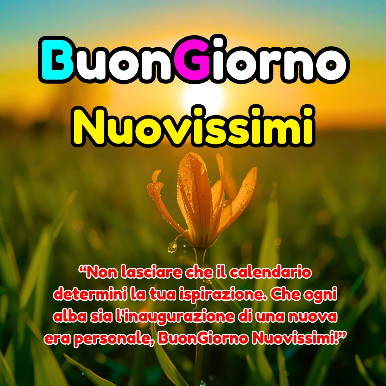 Buongiorno Nuovissimi Immagini, GIF, Frasi Nuove Gratis 2026