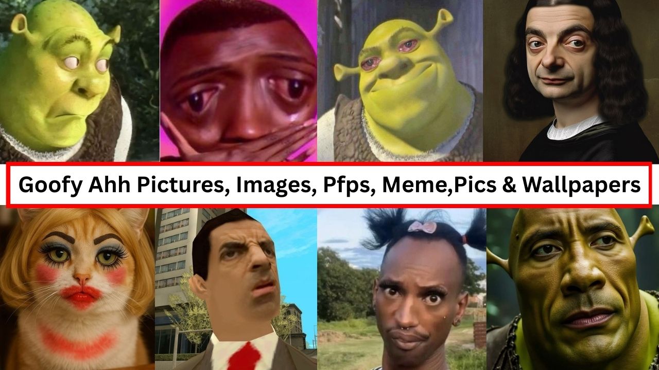 Goofy Ahh Pictures, Funny, Meme, PFP, Images, Pics & Wallpapers 2026