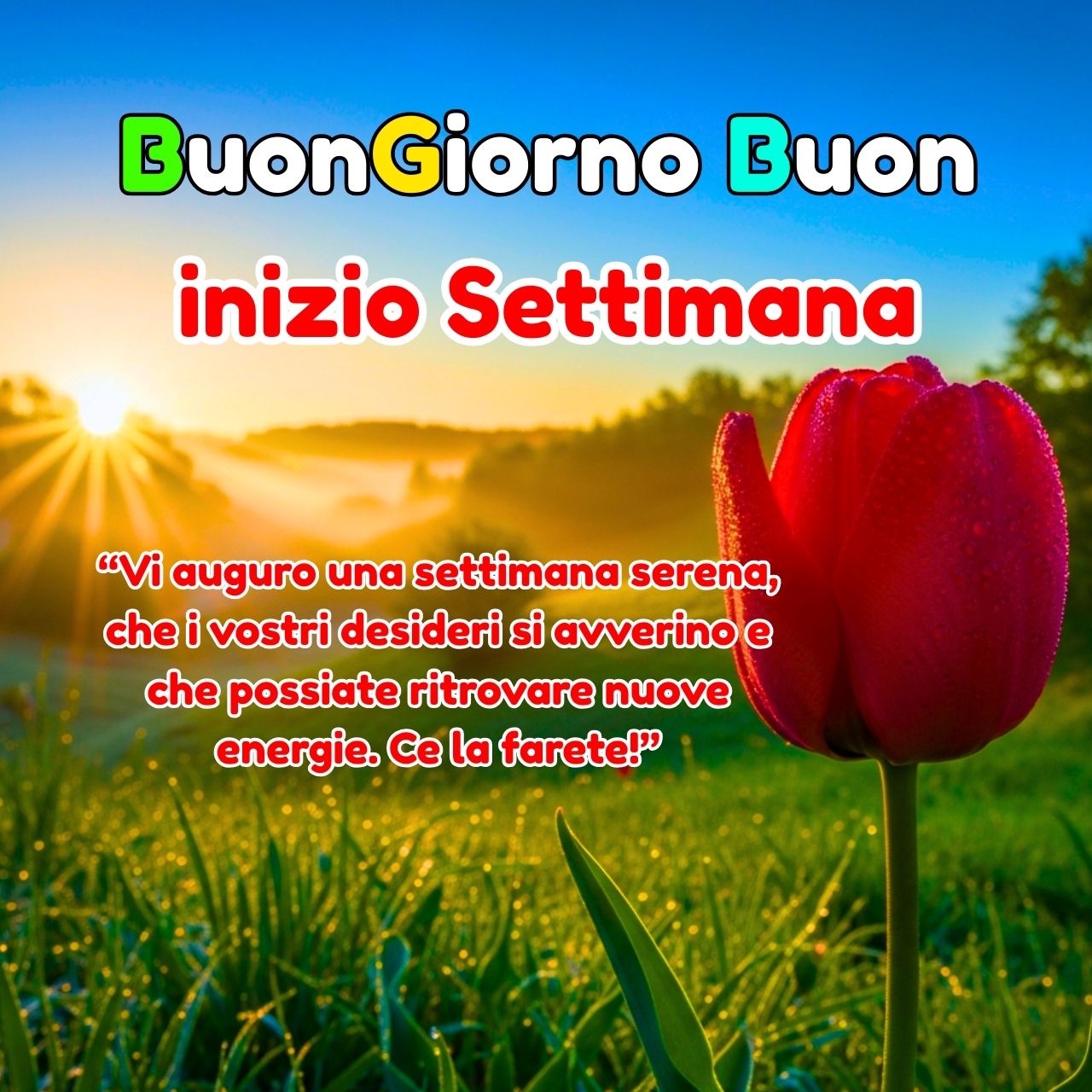 Buongiorno Buon Inizio Settimana 2026 Immagini, GIF, Frasi e Risate da condividere