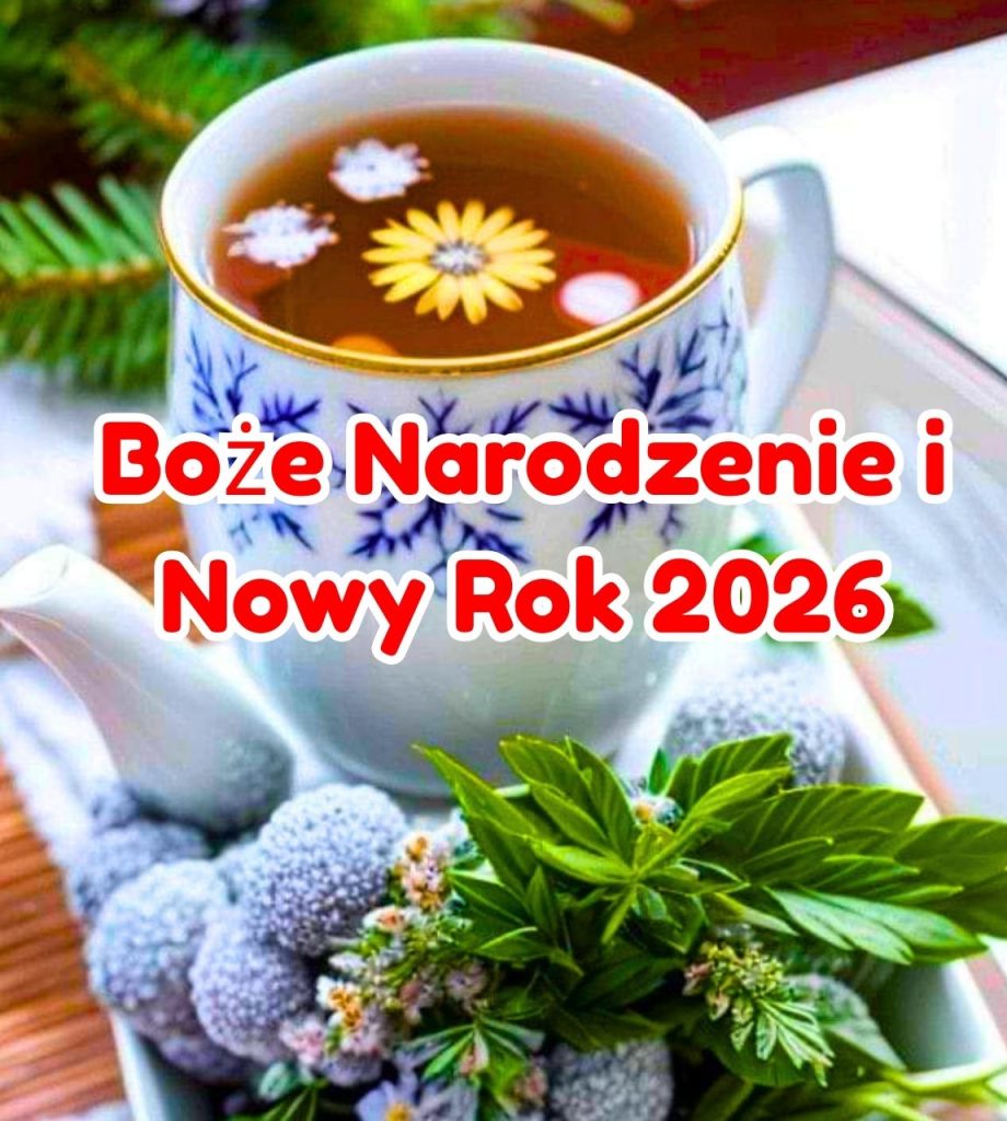 Wesołych Świąt i Szczęśliwego Nowego Roku 2026