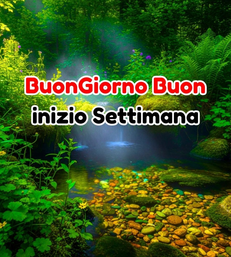 buongiorno buon inizio settimana natalizia