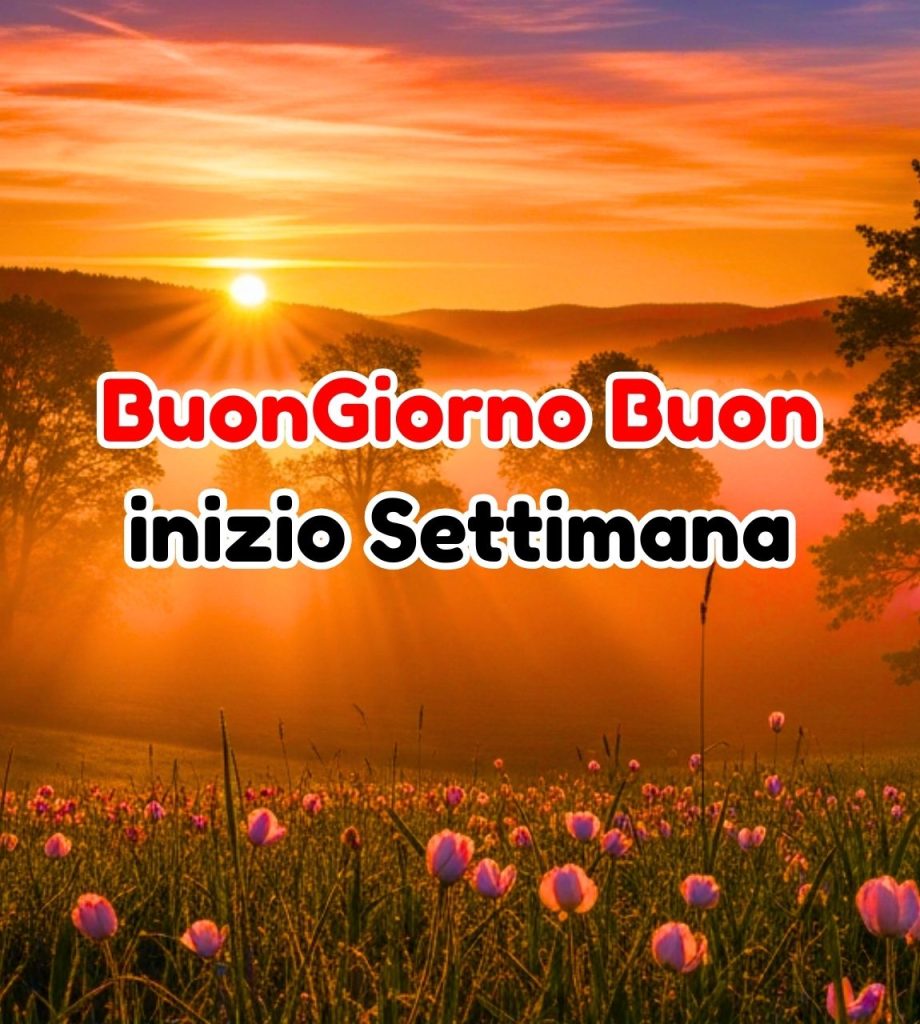 buongiorno e buon inizio settimana divertente