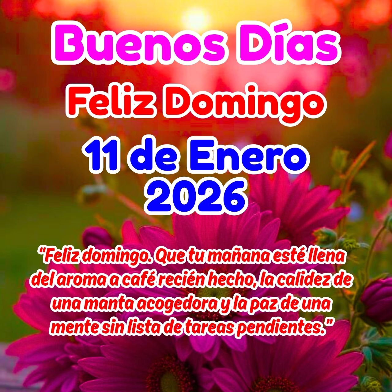 Buenos Dias 11 de Enero 2026 Feliz Domingo Imágenes y GIF