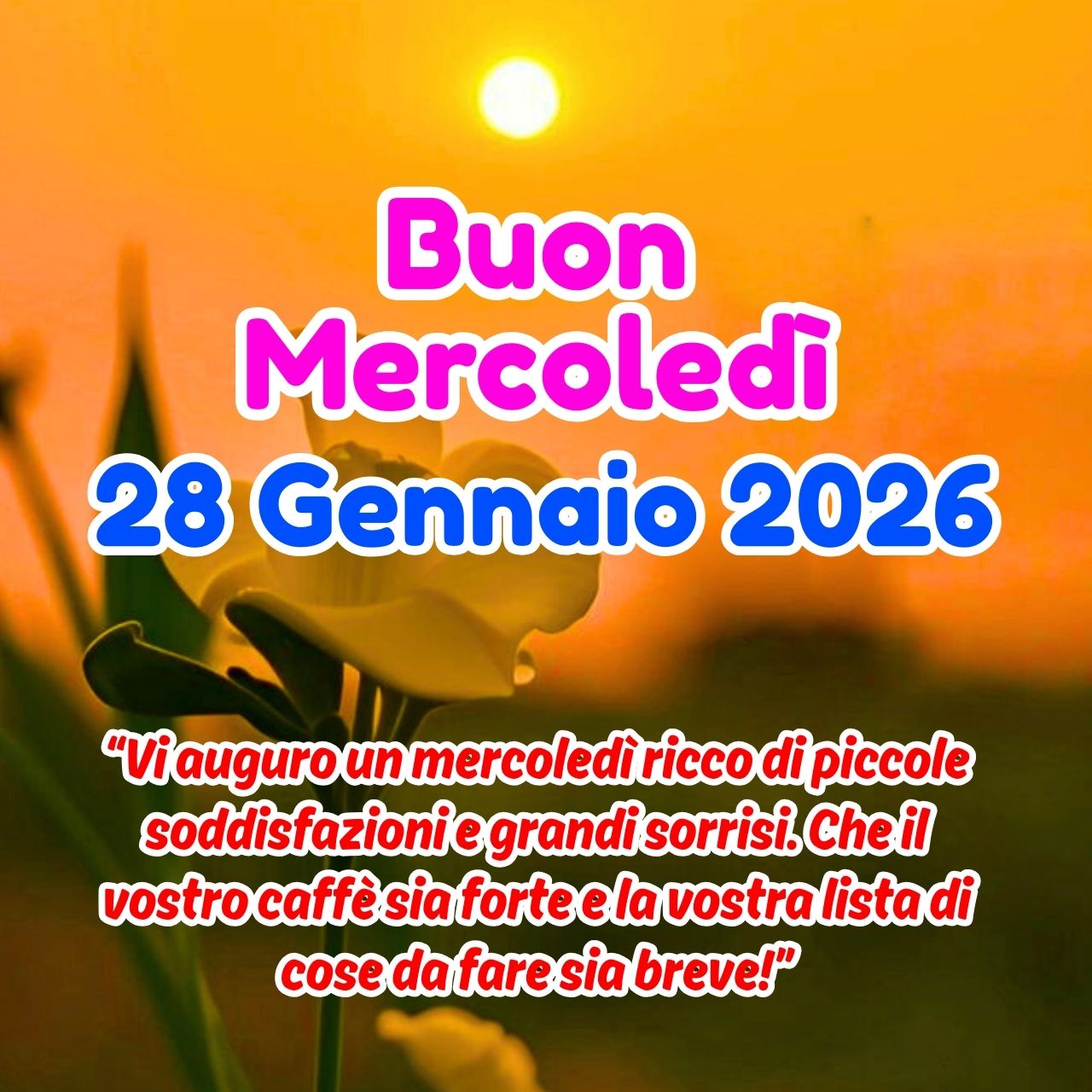 Buon Mercoledì 28 Gennaio 2026 Immagini, GIF, Frasi Gratis