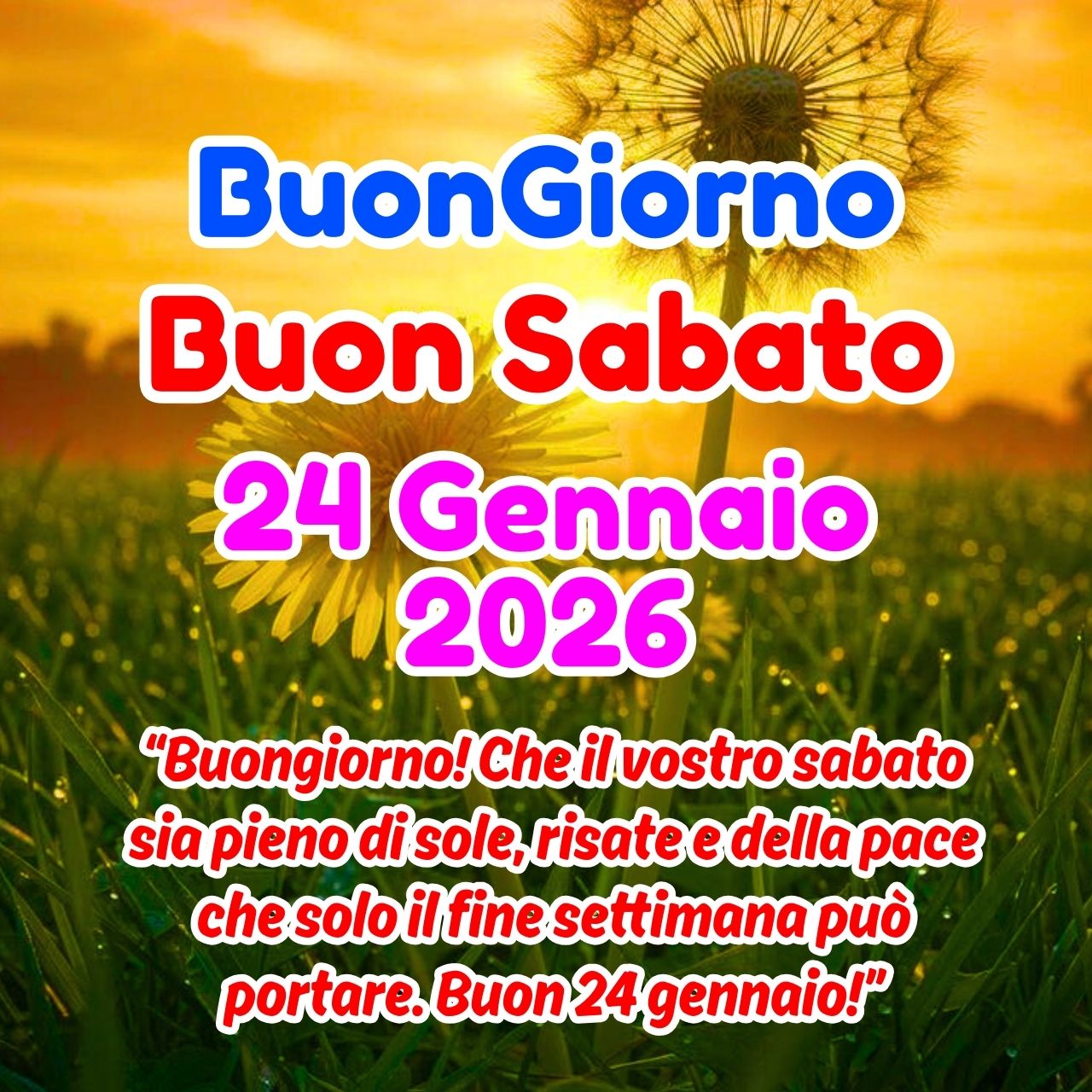 Buon Sabato 24 Gennaio 2026 Immagini, GIF, Frasi Nuove Gratis
