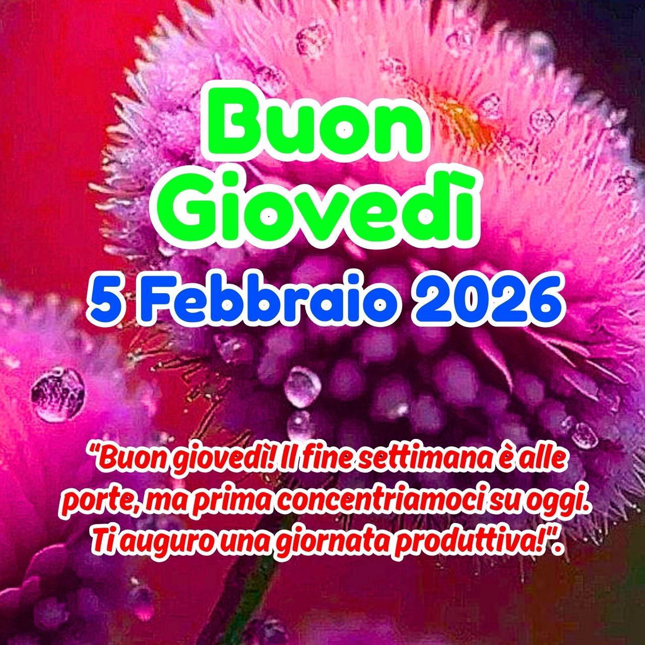 Buon Giovedì 5 Febbraio 2026 Immagini, GIF e Frasi Gratis