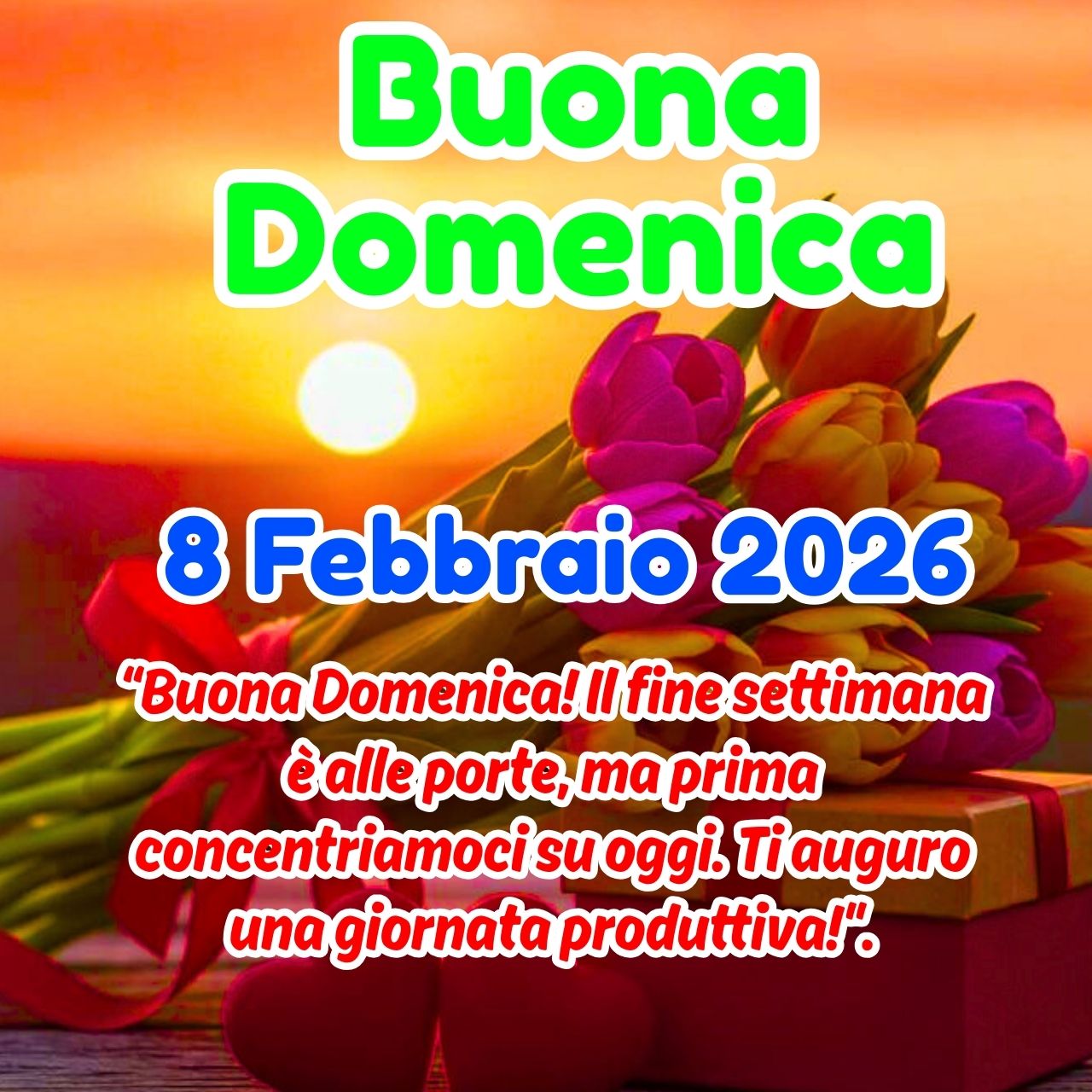 Buona Domenica 8 Febbraio 2026 Immagini, GIF, Frasi Nuove Gratis