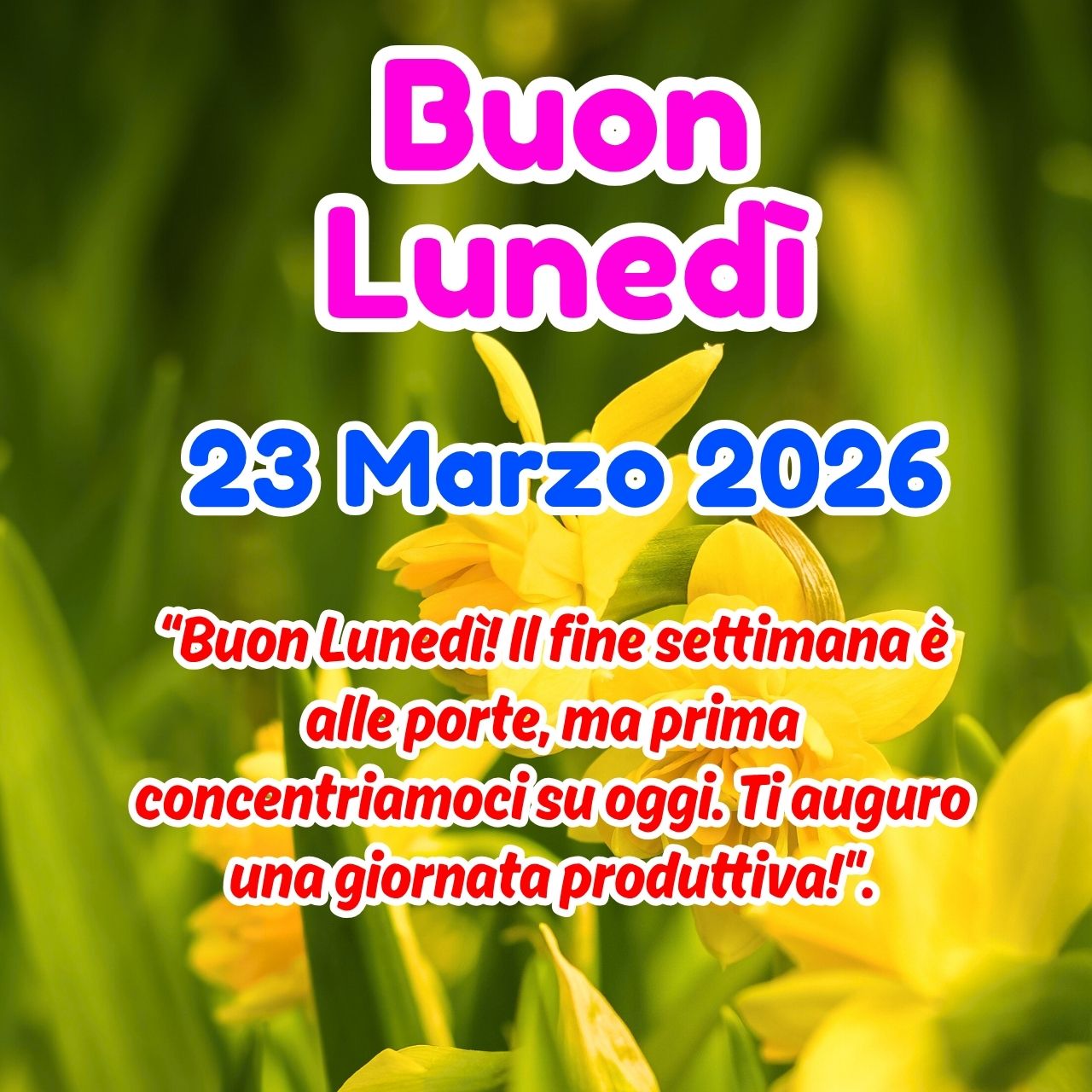 Buon Lunedì 23 Marzo 2026 Immagini, GIF e Frasi Gratis