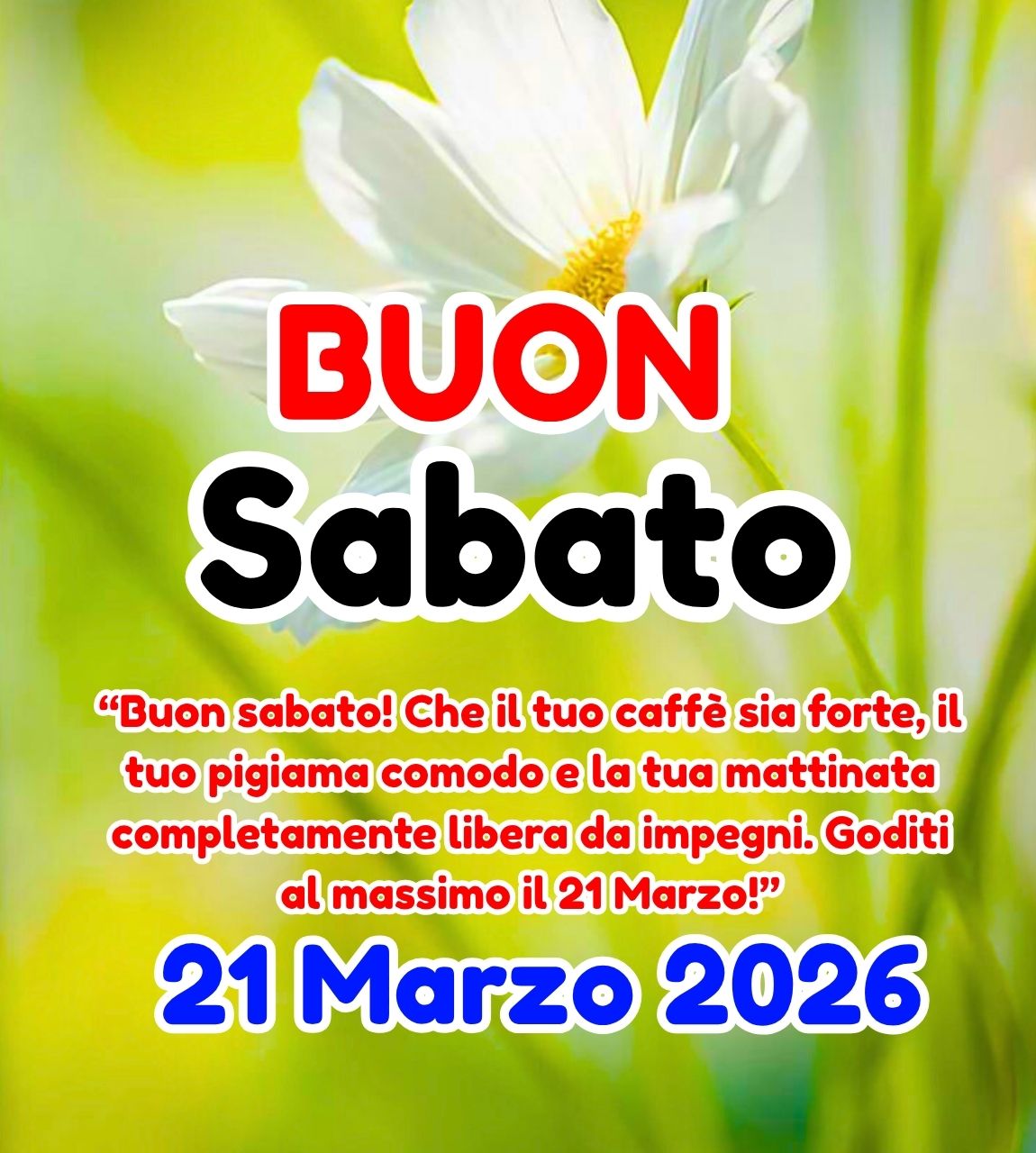Buon Sabato 21 Marzo 2026 Immagini, GIF, Frasi Nuove Gratis