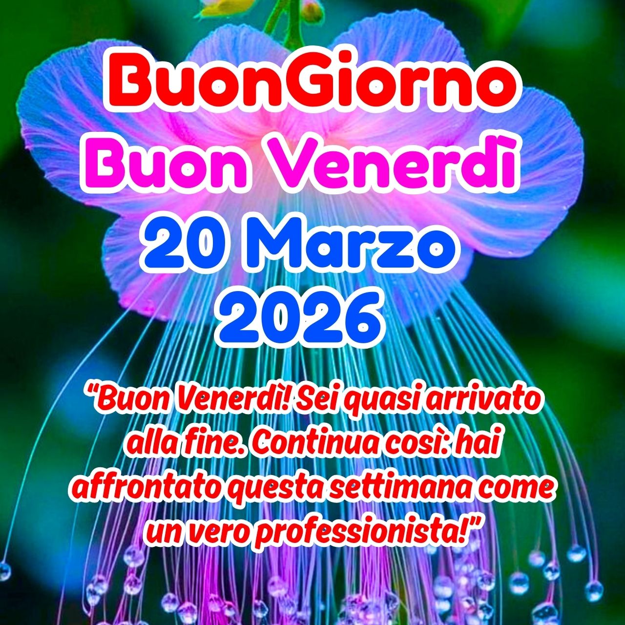 Buongiorno 20 Marzo 2026 Buon Venerdì Immagini, GIF e Frasi