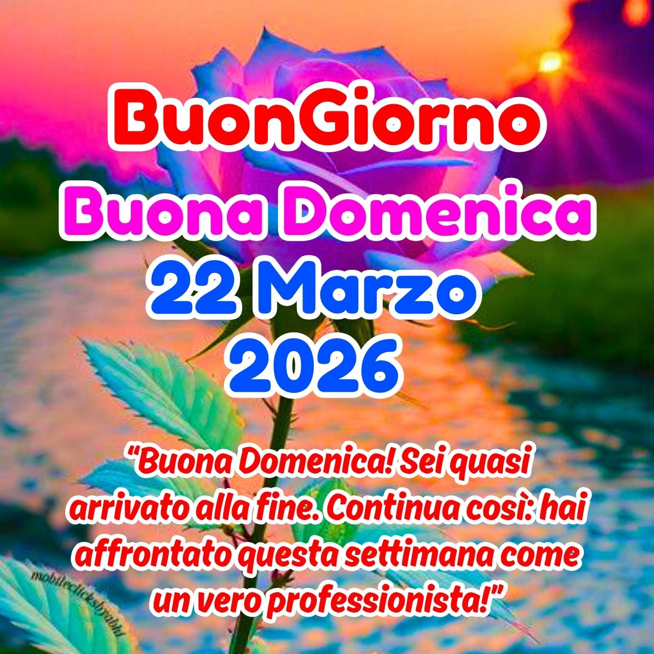 Buongiorno 22 Marzo 2026 Buona Domenica Immagini e GIF