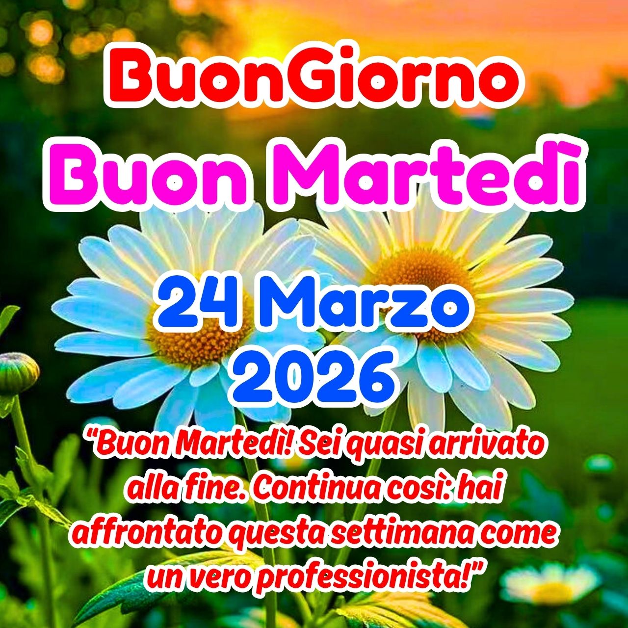 Buongiorno 24 Marzo 2026 Buon Martedì Immagini e GIF